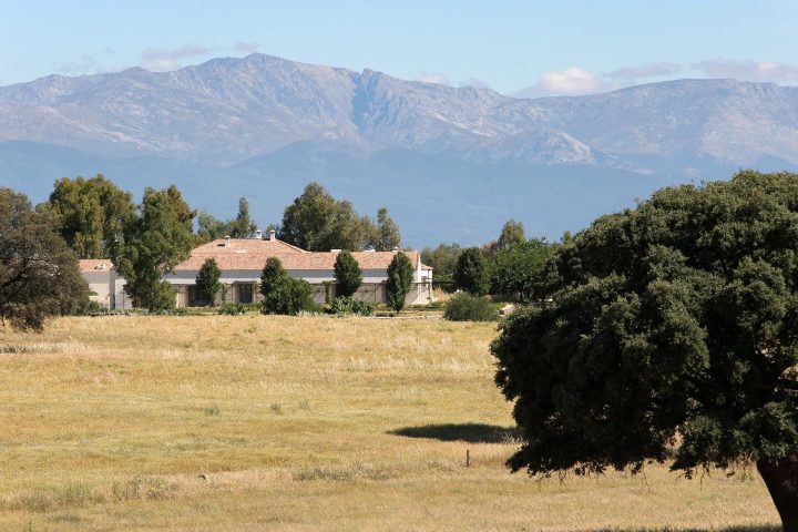 Dehesa El Milagro