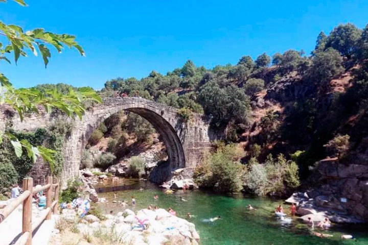FINCA DEHESA CASAES