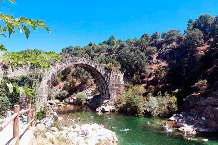 FINCA DEHESA CASAES
